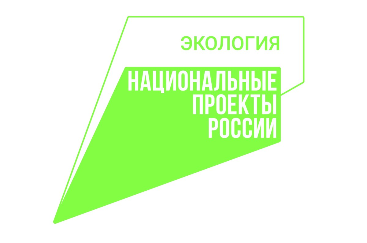 11 единиц техники закупит агентство лесного хозяйства в рамках национального проекта «Экология»